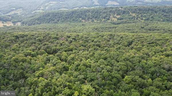 6.4 Acres of Residential Land for Sale in Maysville, West Virginia