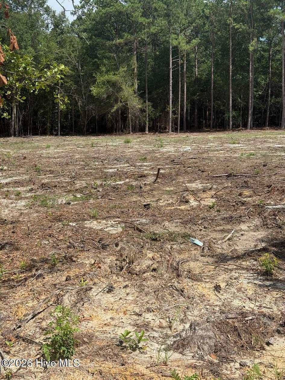 1 Acre of Residential Land for Sale in Waynesboro, Georgia