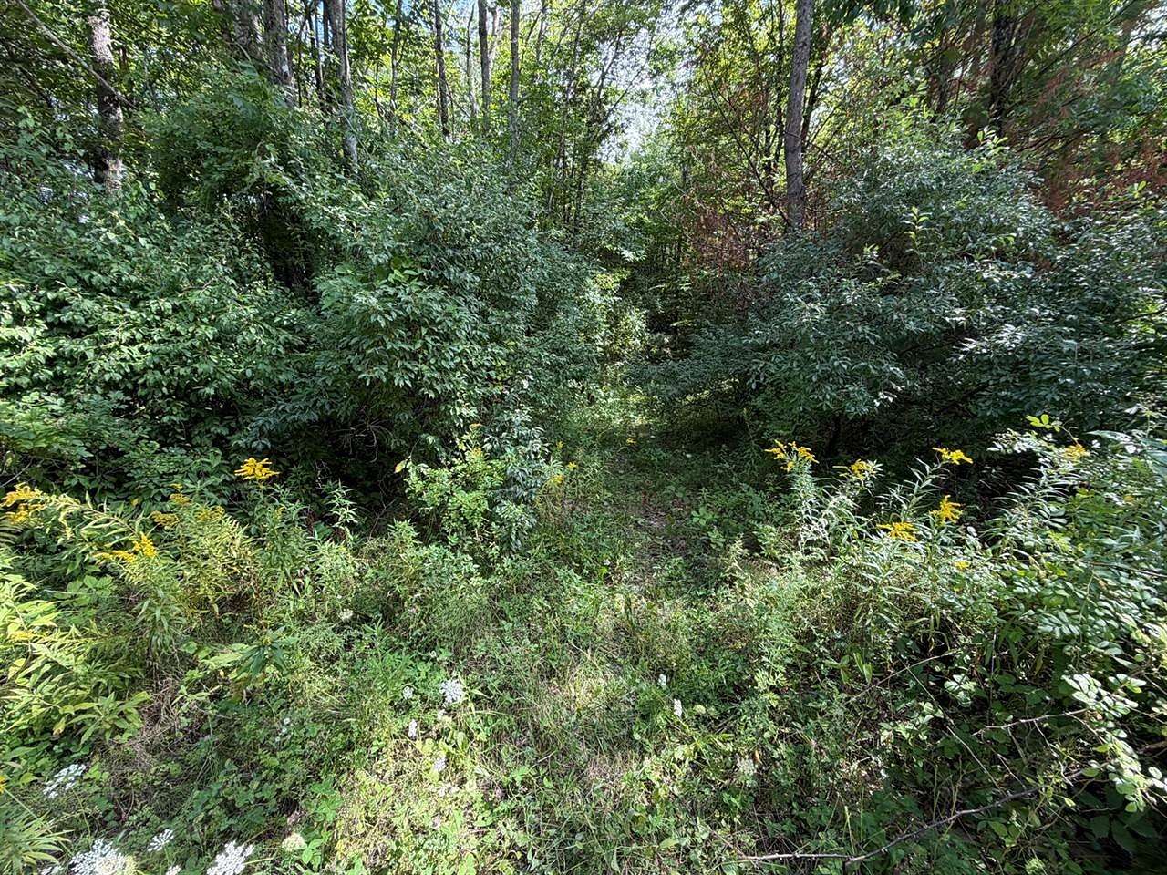 1.42 Acres of Land for Sale in Oakland, Maine