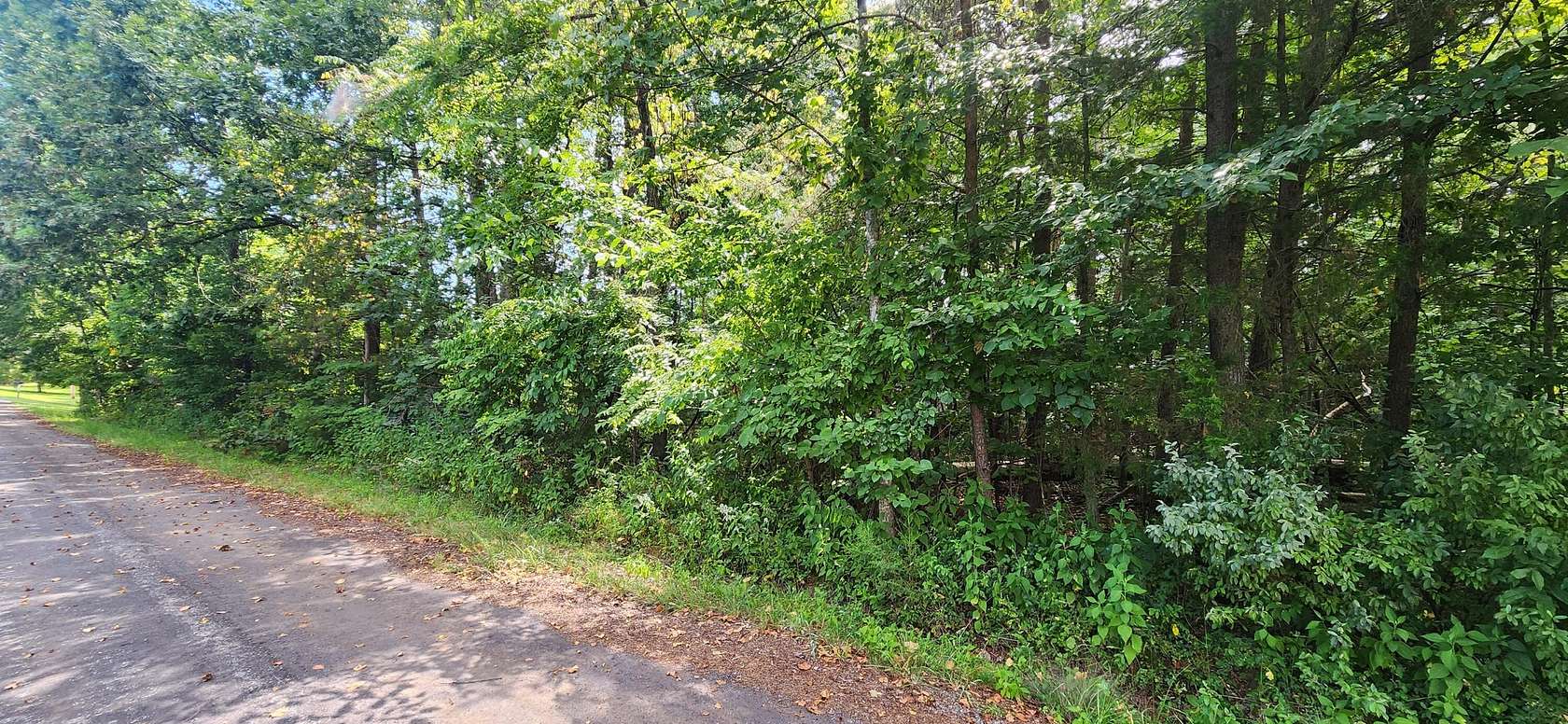 1.1 Acres of Residential Land for Sale in Rocky Mount, Virginia