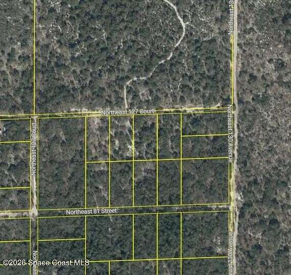 1.25 Acres of Residential Land for Sale in Bronson, Florida