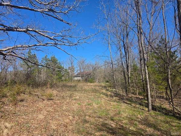 115 Acres of Land for Sale in Brookneal, Virginia