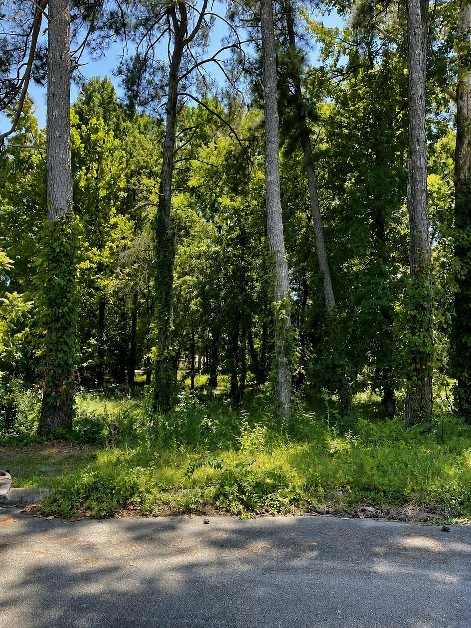 0.26 Acres of Residential Land for Sale in Chattanooga, Tennessee