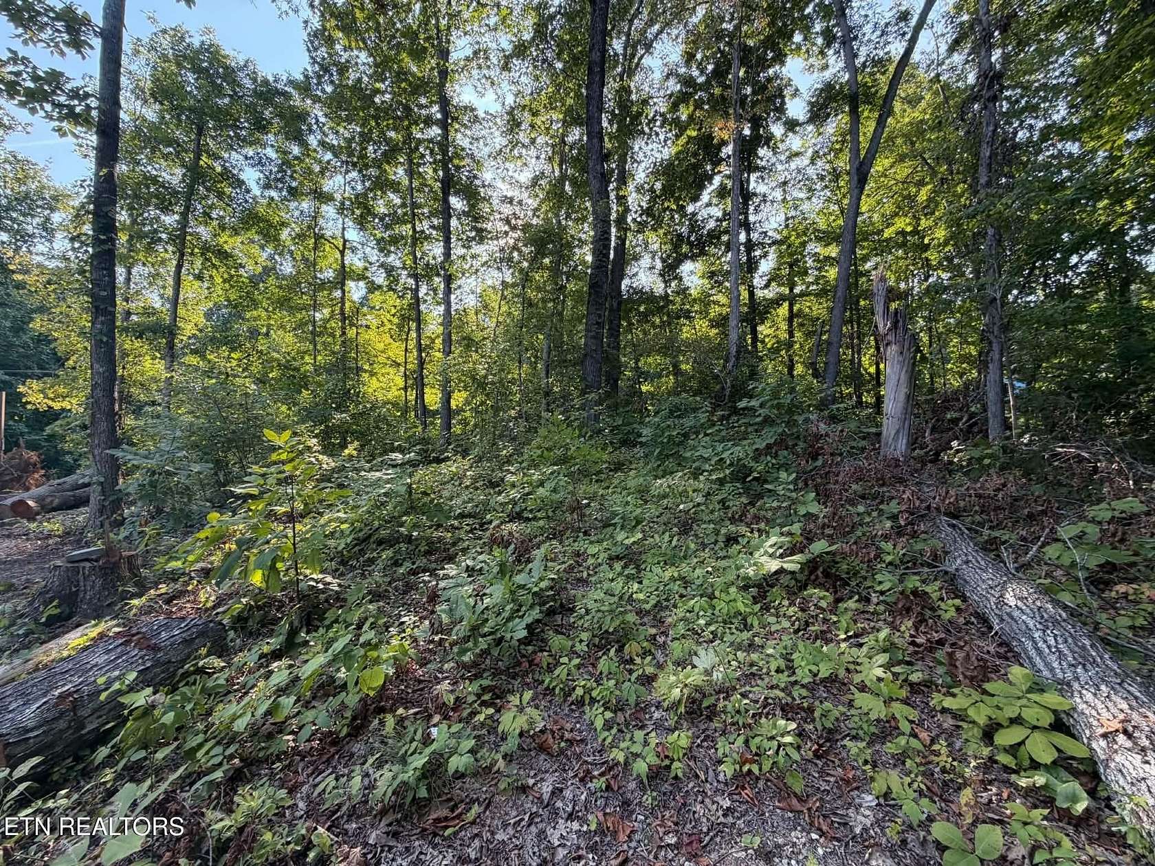 0.39 Acres of Residential Land for Sale in New Tazewell, Tennessee