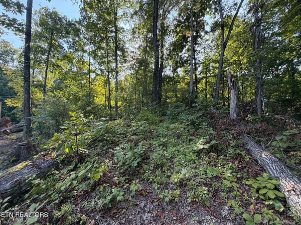0.39 Acres of Residential Land for Sale in New Tazewell, Tennessee