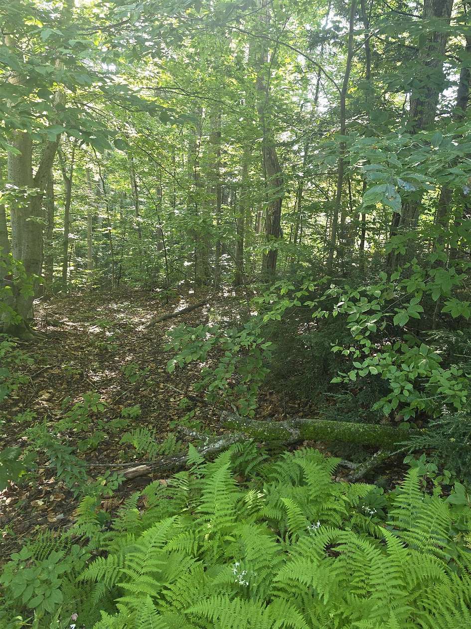 0.64 Acres of Residential Land for Sale in Conway, New Hampshire