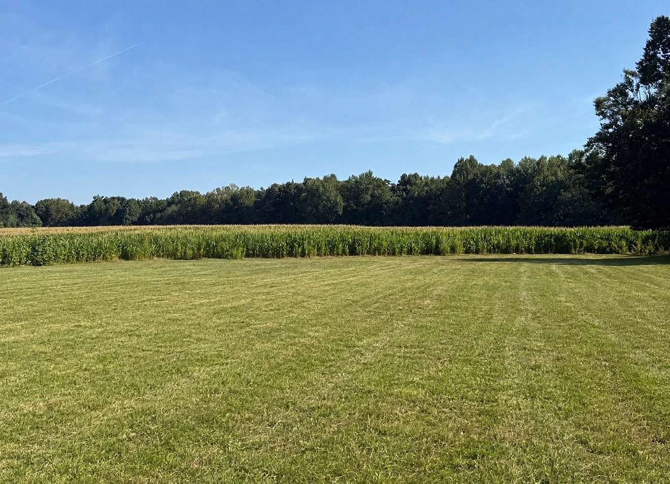 0.69 Acres of Residential Land for Sale in Lafayette, Tennessee