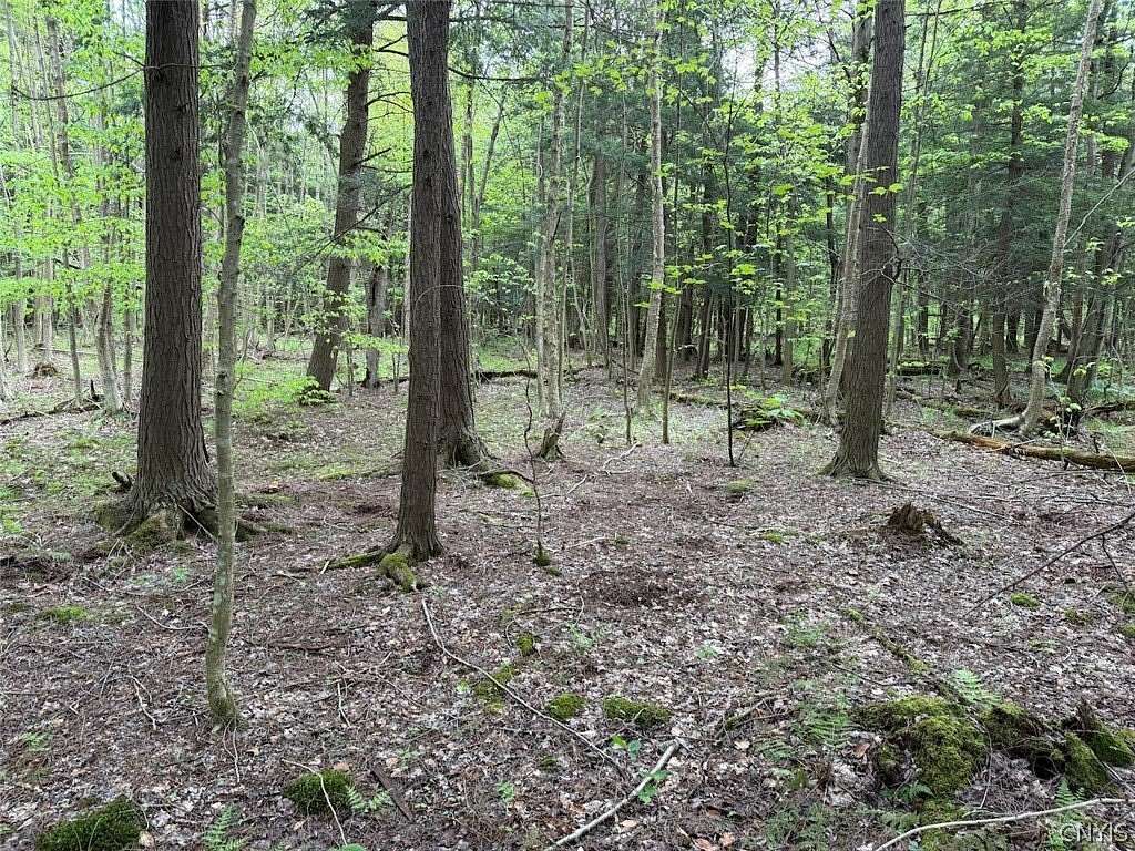 8.2 Acres of Land for Sale in South Dayton, New York