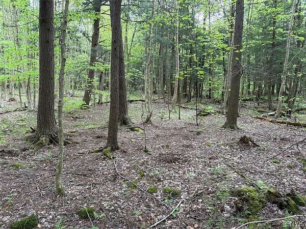 8.2 Acres of Land for Sale in South Dayton, New York