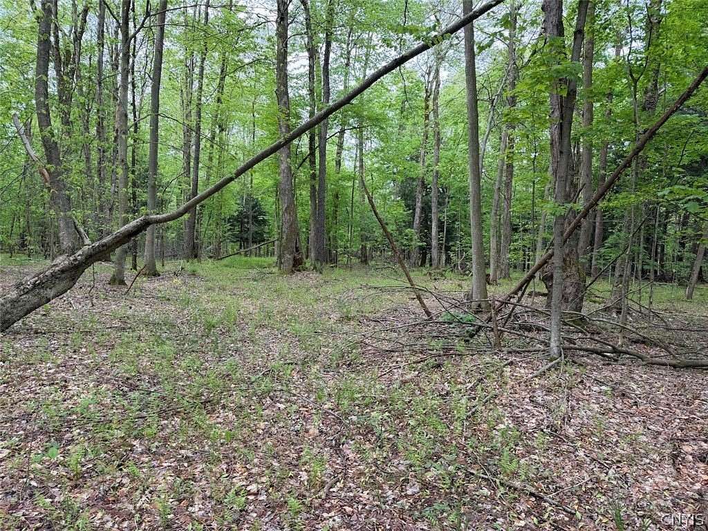 8.2 Acres of Land for Sale in South Dayton, New York