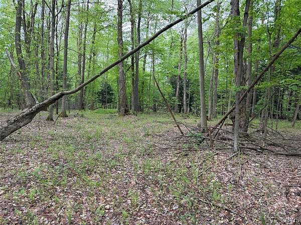 8.2 Acres of Land for Sale in South Dayton, New York