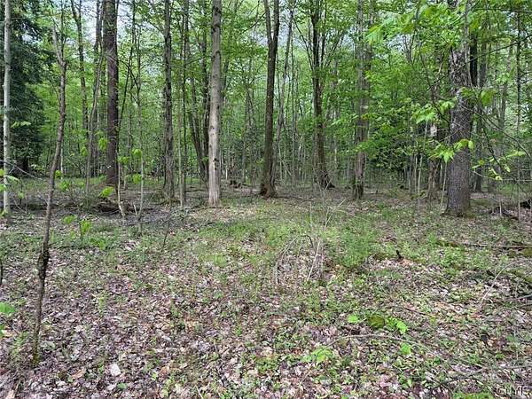 8.2 Acres of Land for Sale in South Dayton, New York