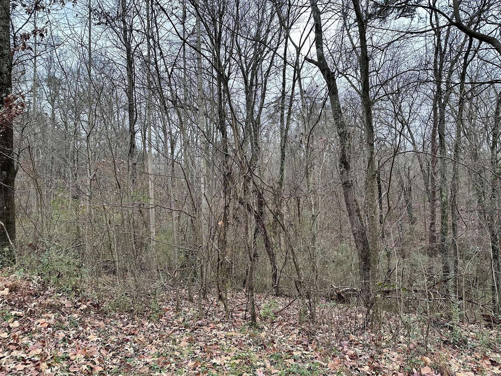 1.5 Acres of Residential Land for Sale in Soddy-Daisy, Tennessee