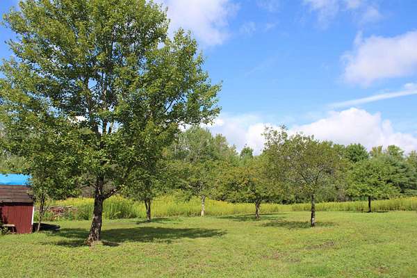 11 Acres of Land for Sale in Bath, New Hampshire