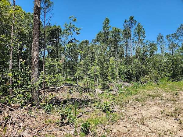 16.9 Acres of Commercial Land for Sale in El Dorado, Arkansas