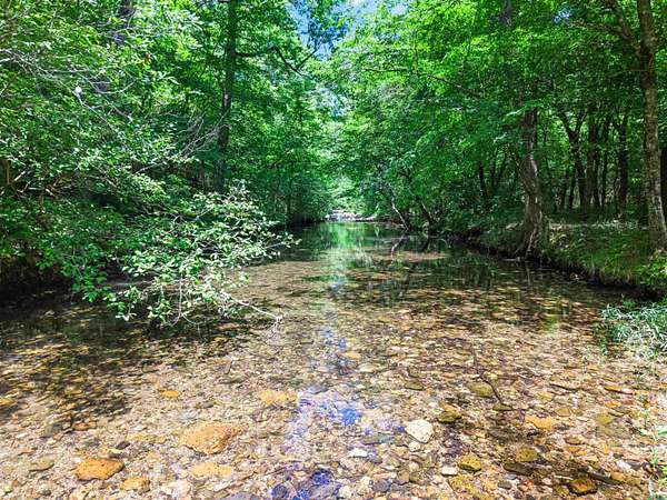 431 Acres of Land for Sale in Glenwood, Arkansas