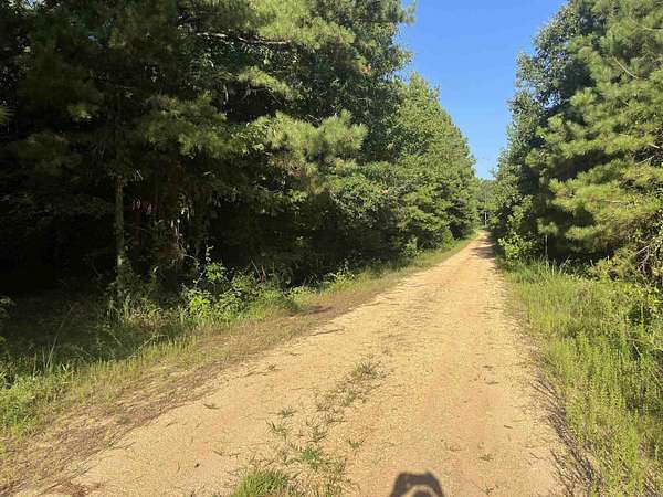 900 Acres of Recreational Land for Auction in Fountain Hill, Arkansas