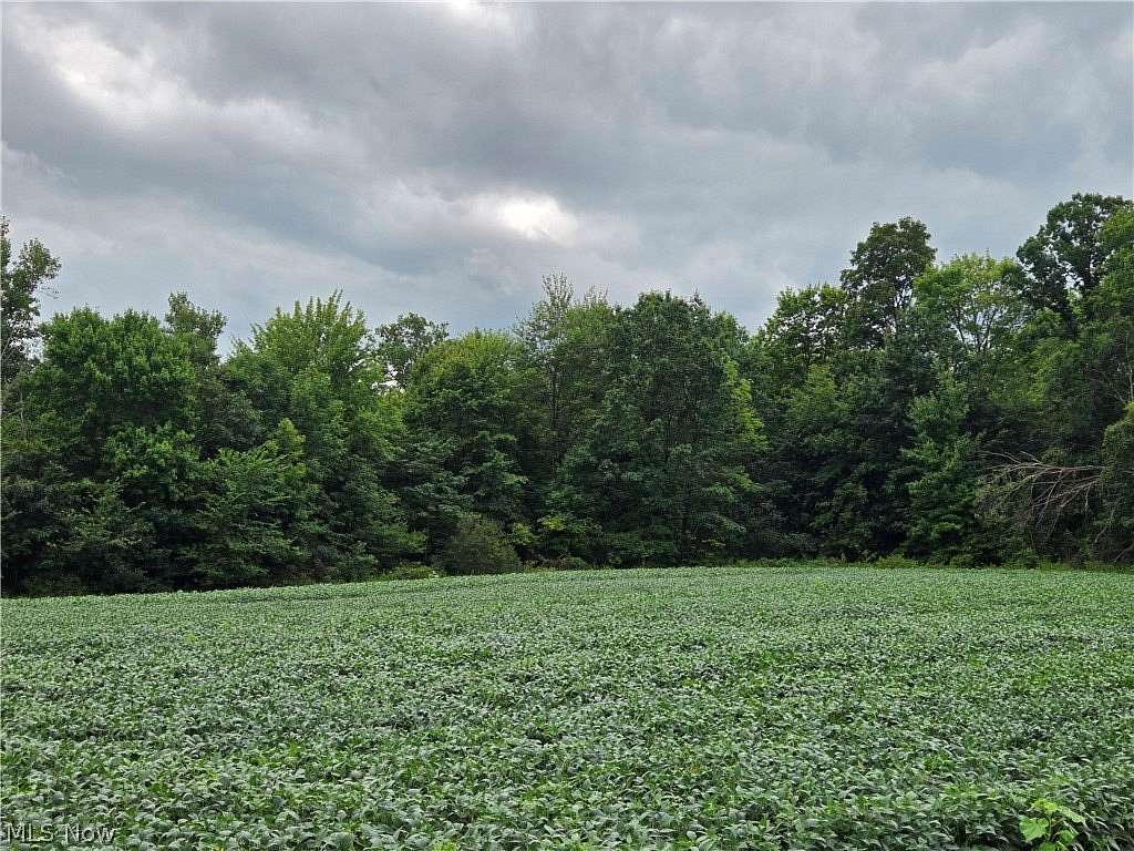 25 Acres of Recreational & Residential Land for Auction in Garrettsville, Ohio