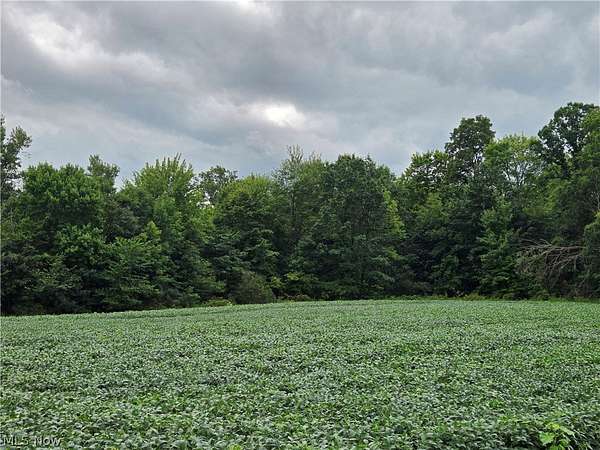 25 Acres of Recreational & Residential Land for Auction in Garrettsville, Ohio