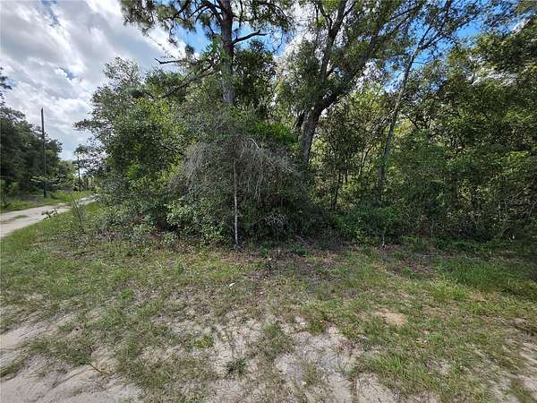 0.33 Acres of Residential Land for Sale in Ocklawaha, Florida