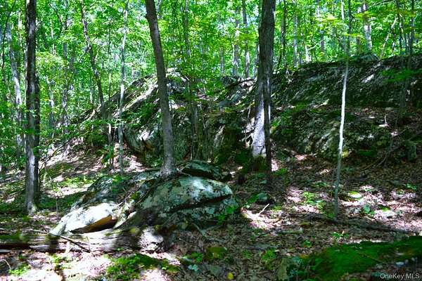 14.8 Acres of Land for Sale in Wallkill, New York