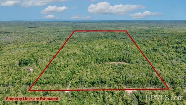 40 Acres of Recreational Land for Sale in Skandia, Michigan