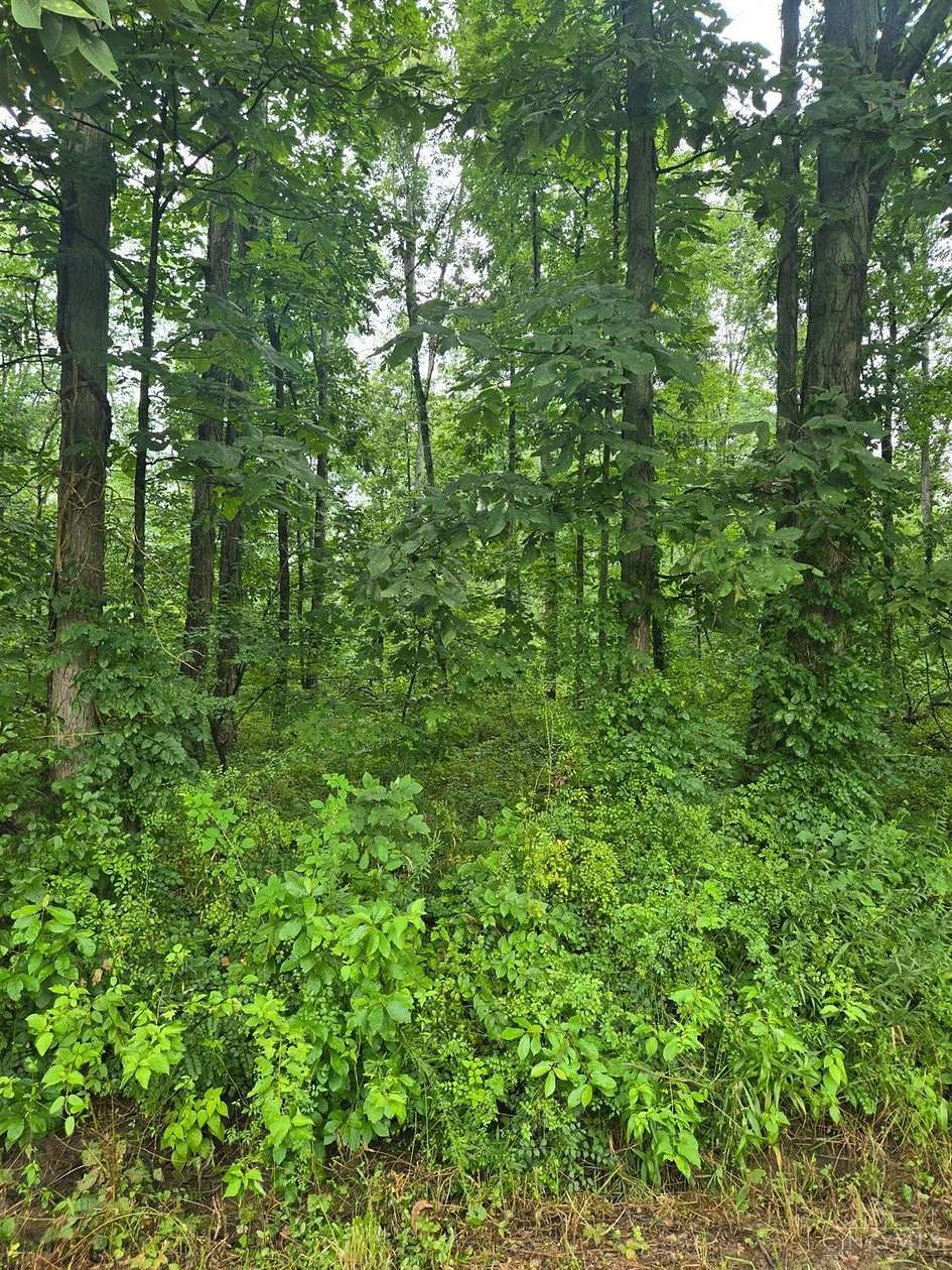 12.3 Acres of Recreational & Residential Land for Sale in Clark Township, Ohio