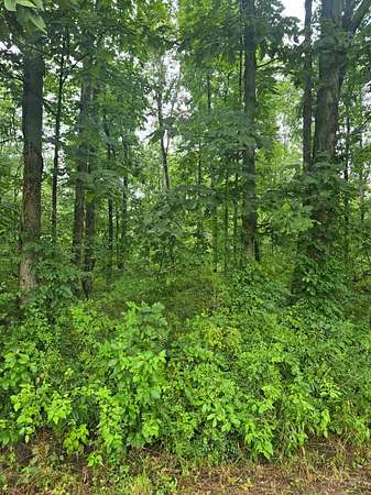 12.3 Acres of Recreational & Residential Land for Sale in Clark Township, Ohio