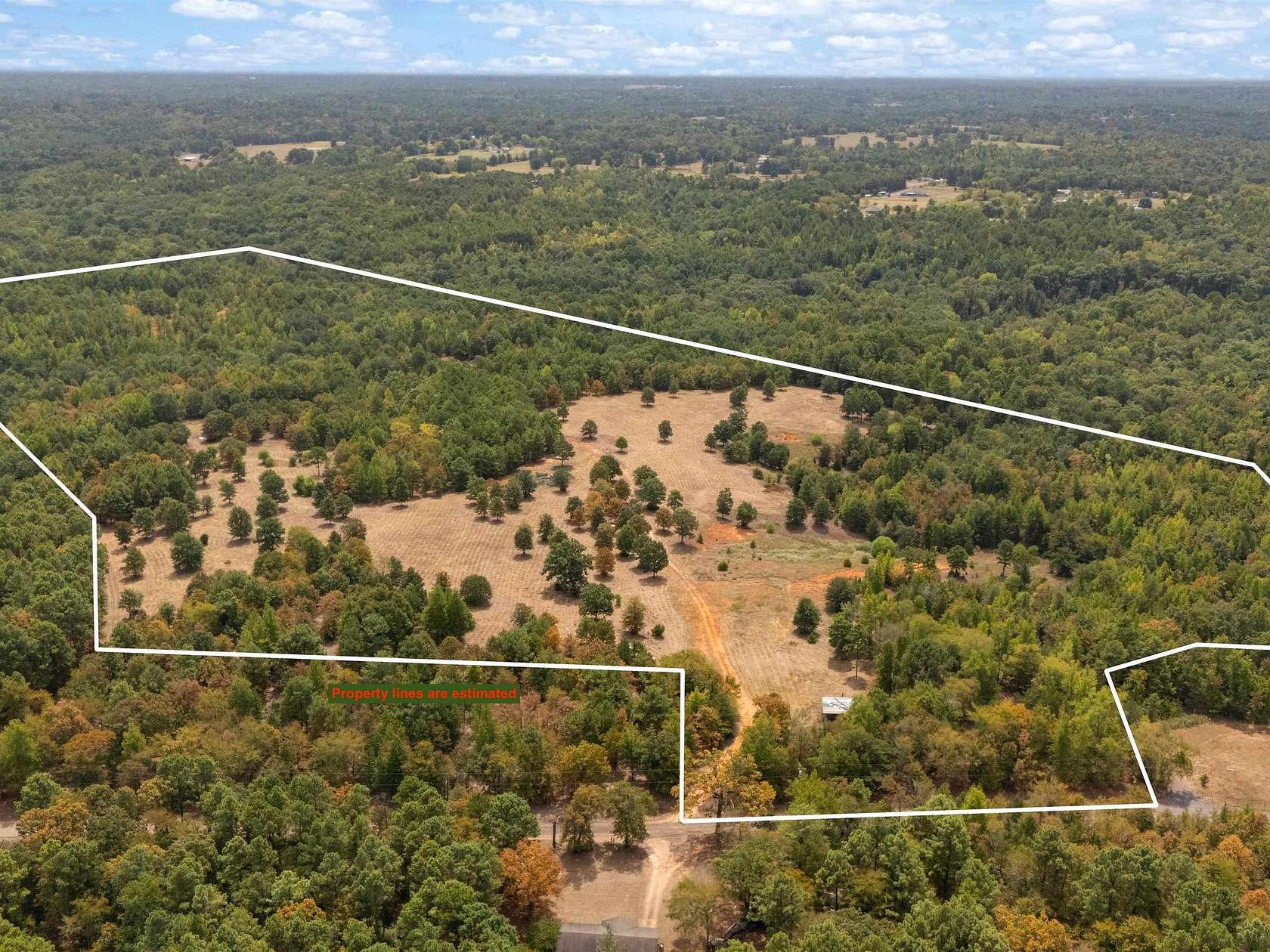 55 Acres of Recreational & Residential Land for Sale in Gilmer, Texas