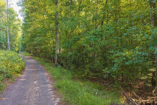 20.8 Acres of Land for Sale in Talking Rock, Georgia