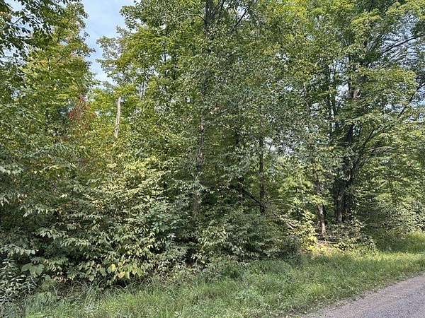 10 Acres of Recreational Land for Sale in Ojibwa, Wisconsin