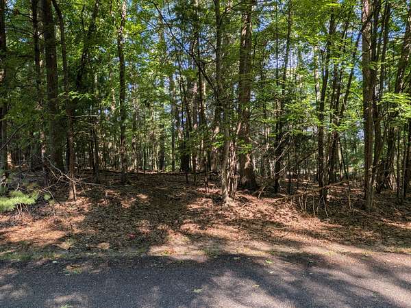 0.44 Acres of Residential Land for Sale in Pentwater, Michigan