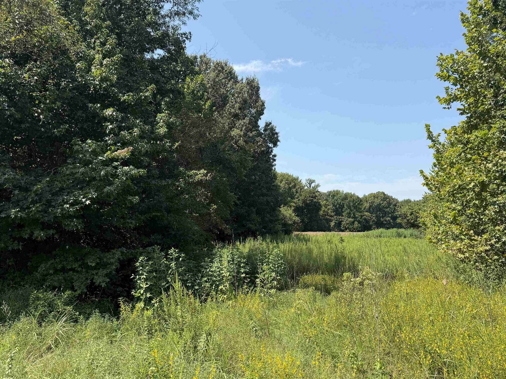1.54 Acres of Residential Land for Sale in Burlison, Tennessee