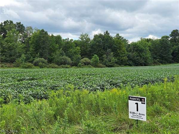 19.9 Acres of Recreational Land for Auction in Garrettsville, Ohio