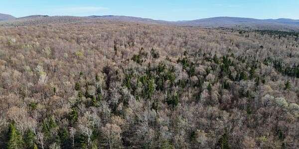 87 Acres of Land for Sale in Bellmont Town, New York