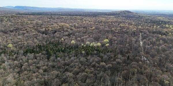 91.5 Acres of Land for Sale in Bellmont Town, New York