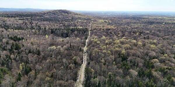 114 Acres of Land for Sale in Bellmont Town, New York