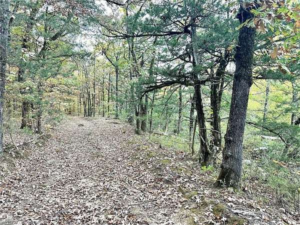 105 Acres of Recreational & Residential Land for Sale in Heavener, Oklahoma