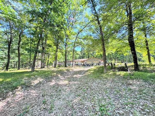 17 Acres of Land with Home for Sale in Chase, Michigan