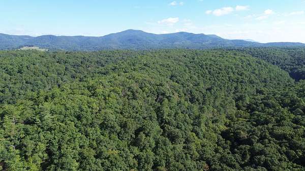 41.7 Acres of Recreational Land for Sale in Marlinton, West Virginia