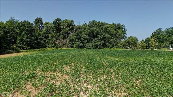5.2 Acres of Residential Land for Auction in Garrettsville, Ohio