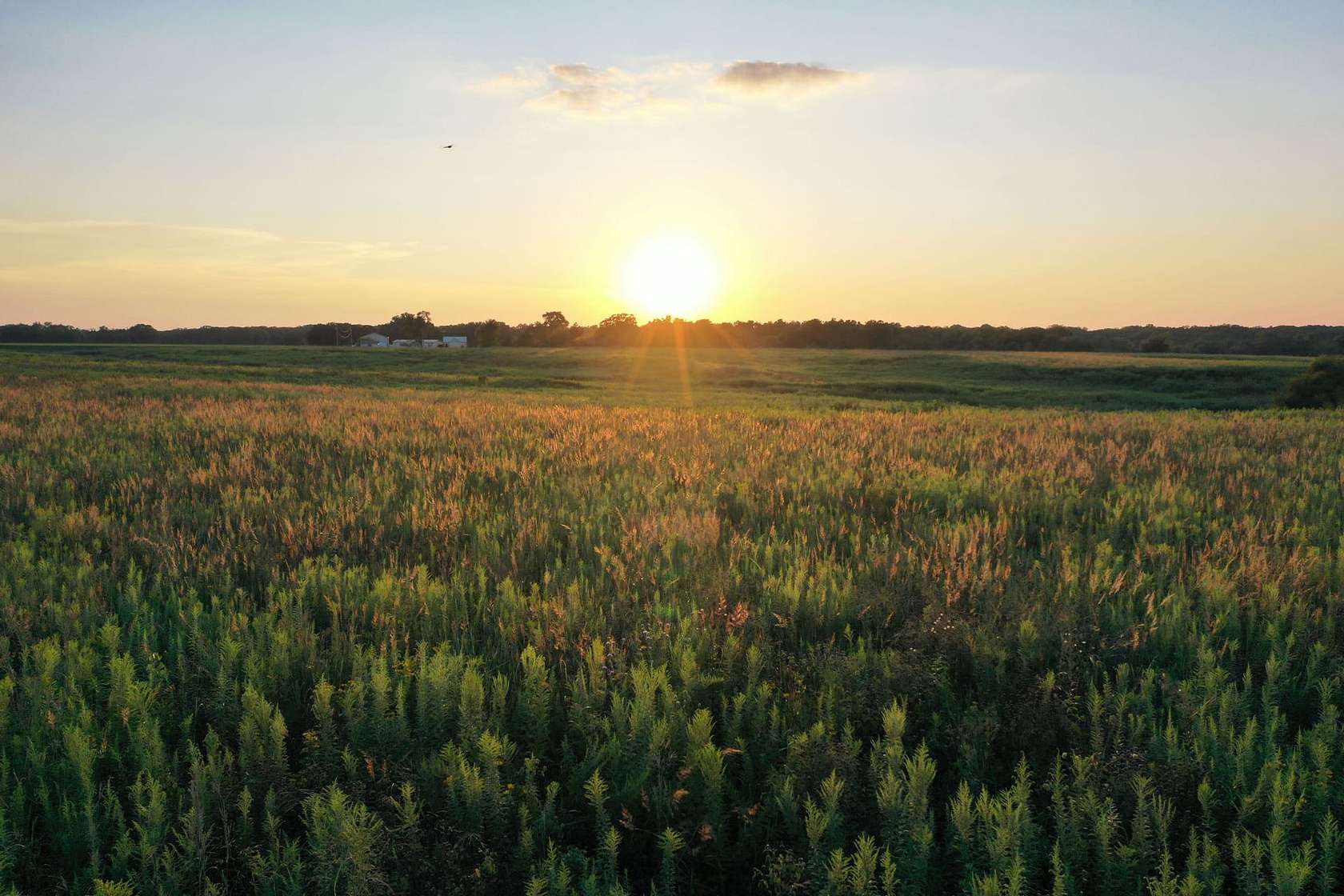 349 Acres of Land for Auction in Blakesburg, Iowa