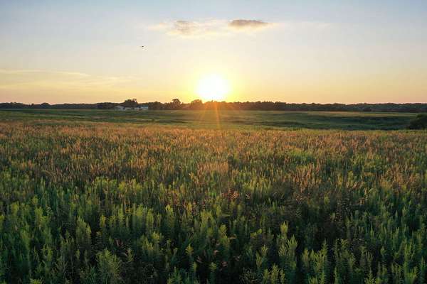 349 Acres of Land for Auction in Blakesburg, Iowa