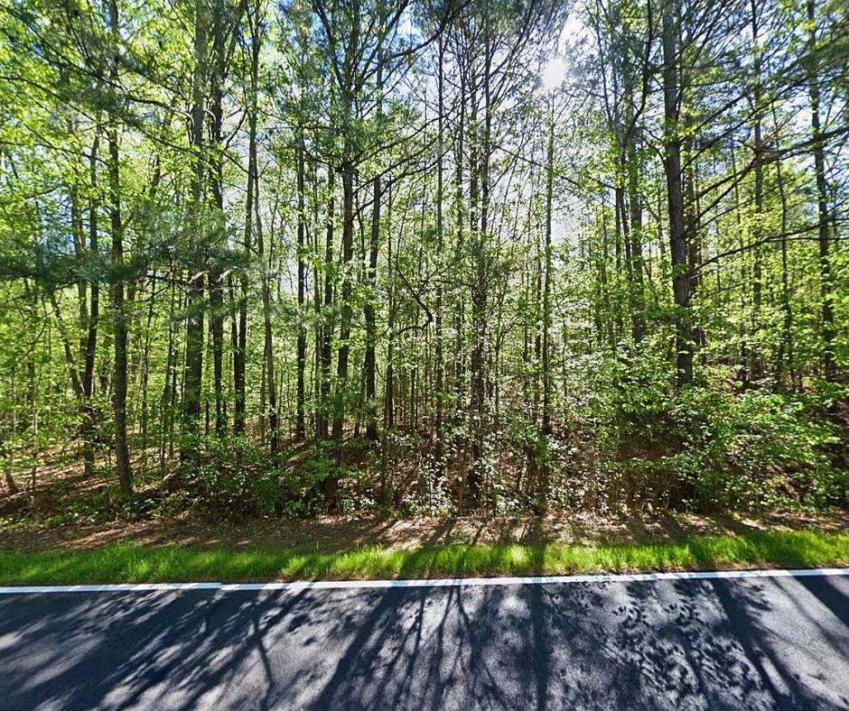 0.99 Acres of Residential Land for Sale in Hampton, Georgia