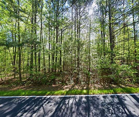 0.99 Acres of Residential Land for Sale in Hampton, Georgia