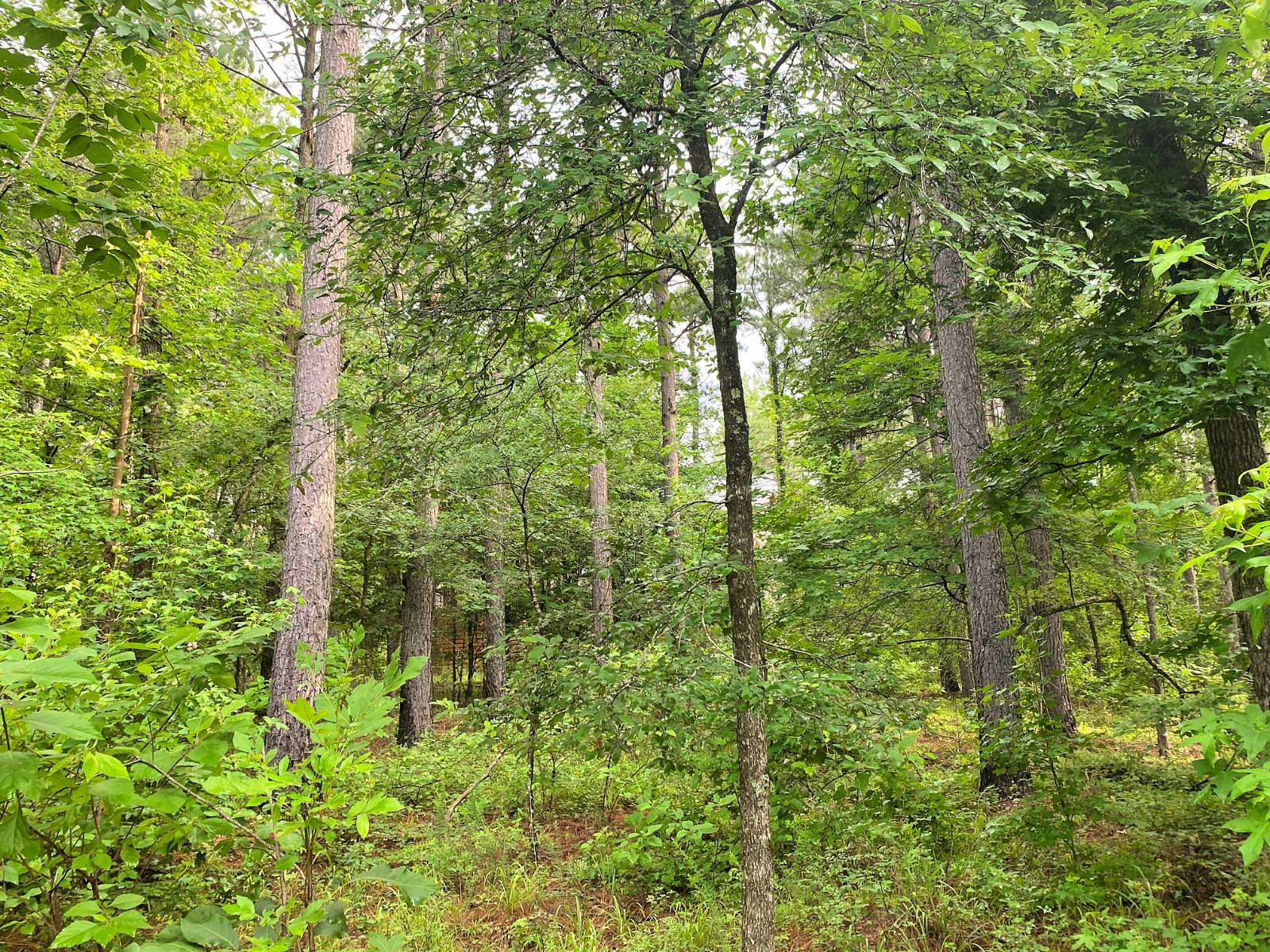 1.3 Acres of Residential Land for Sale in Broken Bow, Oklahoma