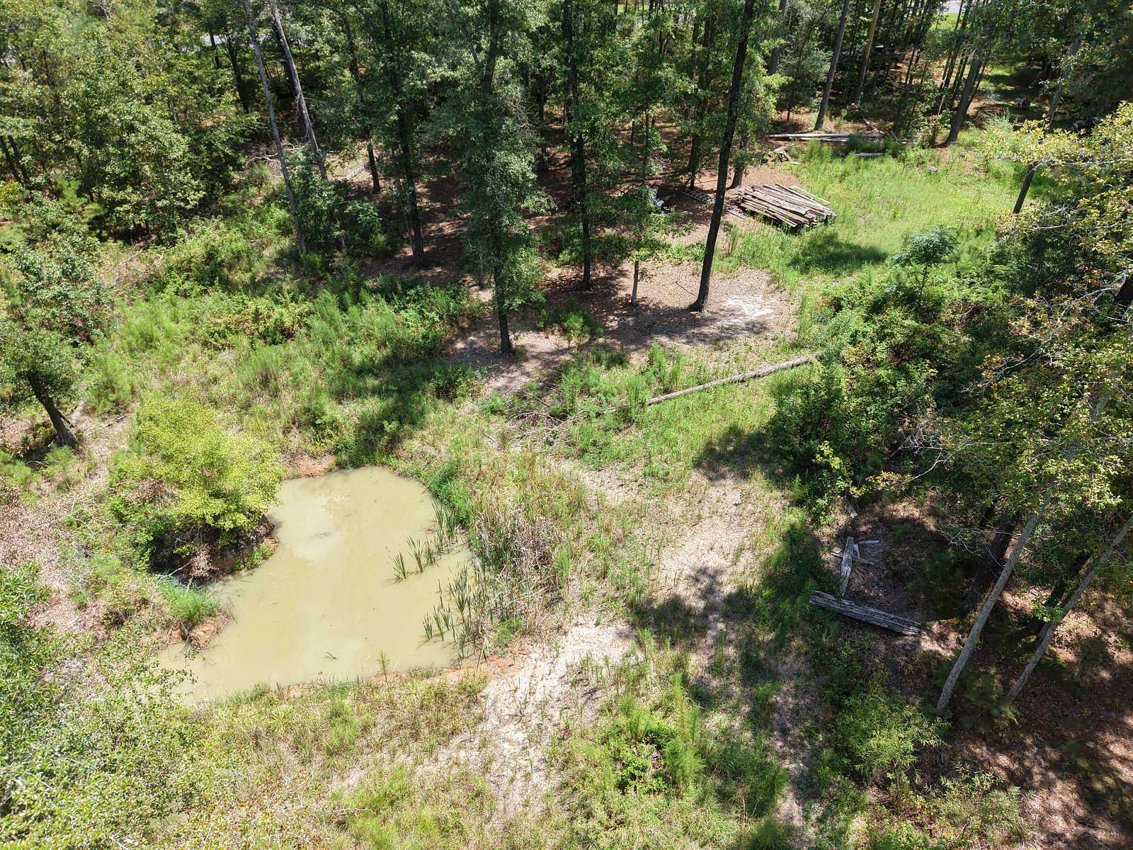 12.4 Acres of Recreational & Residential Land for Sale in Pineland, South Carolina