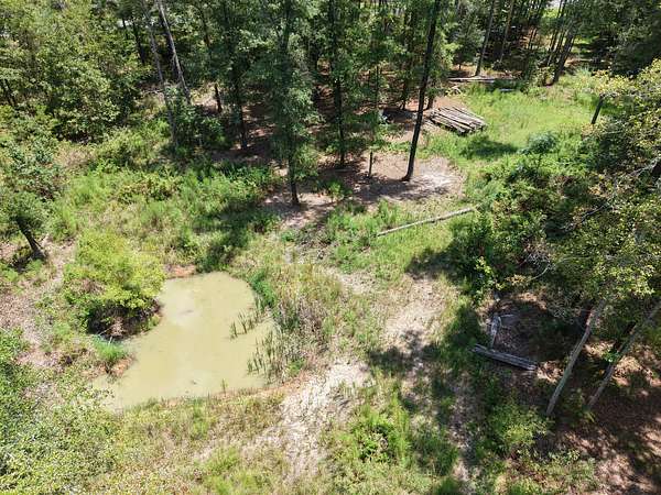 12.4 Acres of Recreational & Residential Land for Sale in Pineland, South Carolina