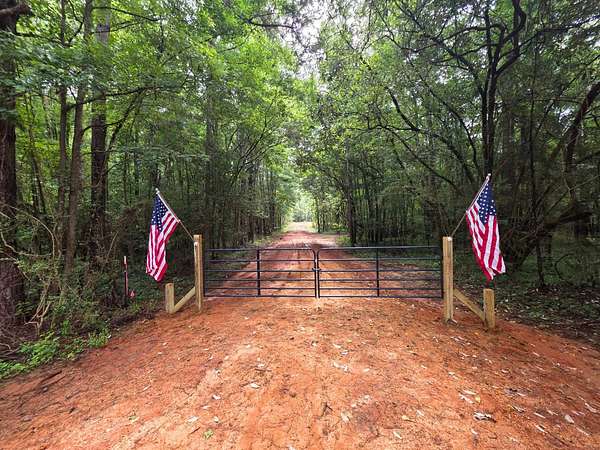 16 Acres of Recreational Land for Sale in Georgiana, Alabama