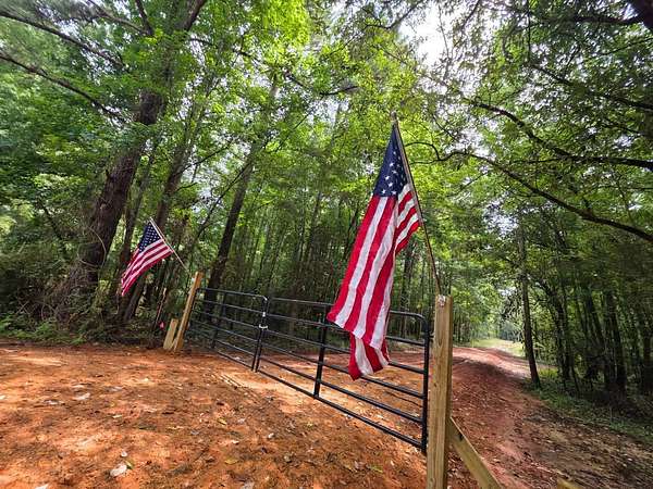 16 Acres of Recreational Land for Sale in Georgiana, Alabama